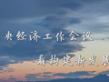 从中央经济工作会议看构建新发展格局 (52播放)