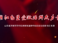 我来讲党课《用红色堡垒激活群众力量》——山东省济南市市中区舜华社区综合党委书记、居委会主任 张潇 (37播放)