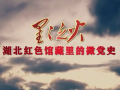 1949年《武汉市民临时救济委员会通告》 (46播放)