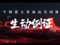 一个构建人类命运共同体的生动例证 (39播放)