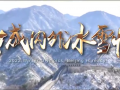 长城内外冰雪情 (43播放)