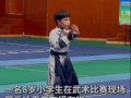 8岁小学生打咏春拳 (2播放)