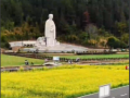 亿缕阳光丨山海“闽”韵 (10播放)