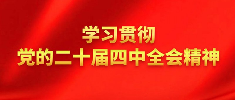 学习二十届四中全会精神